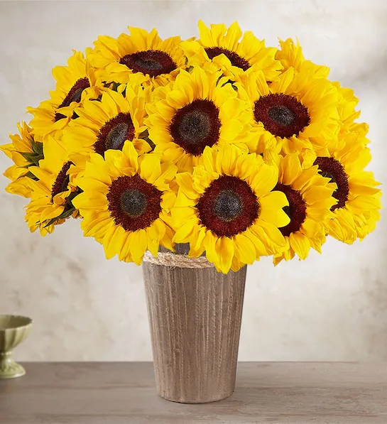 3rd Anniversary Gifts - Sunflowers