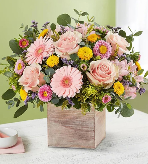 Flowers Waiting For Them - gift ideas for neighbors moving away