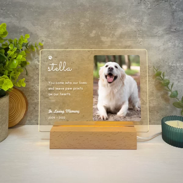 loss of dog gifts - Lit memorial frame