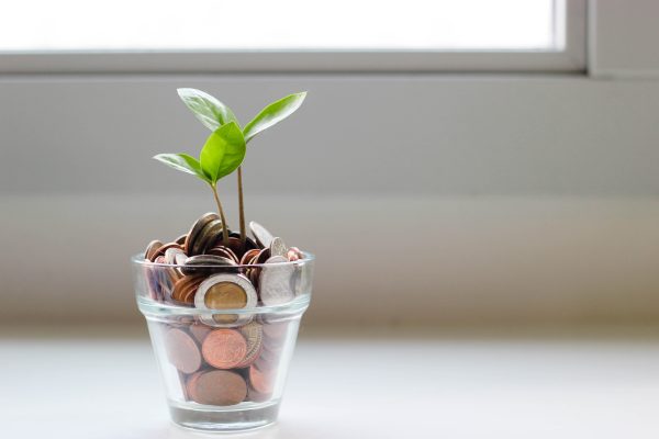 Moving away gifts - money tree