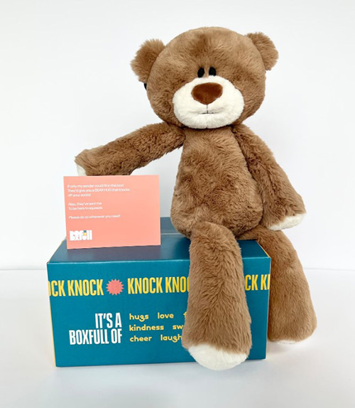 one month anniversary gifts for him - Hug-in-a-Box Teddy Bear