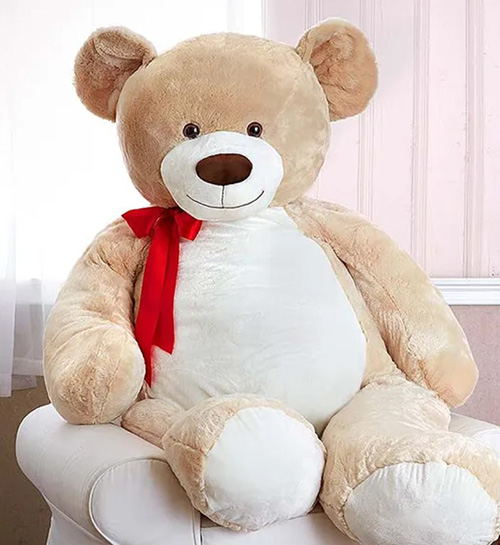 Beary Big Bear- one month anniversary gifts for her