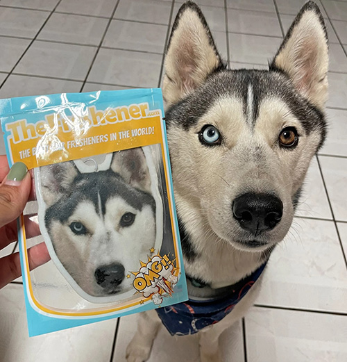 Custom Pet Photo Car Air Freshener