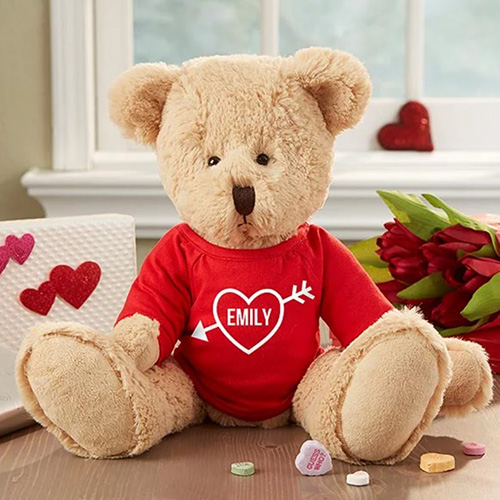 Personalized Birthday Teddy Bear - birthday gift ideas for 12 yr old girl