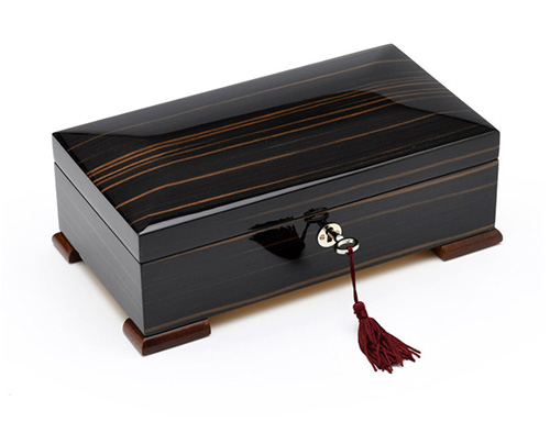 Elegant Classic Watch Box