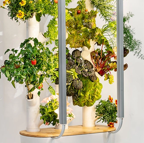 Indoor Gardening Herb Kit
