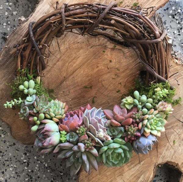 Christmas Gift Ideas for the Home - Succulent Wreath