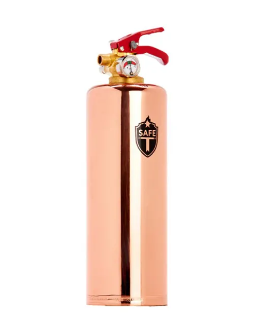 gift ideas that start with m - Metallic Fire Extinguisher