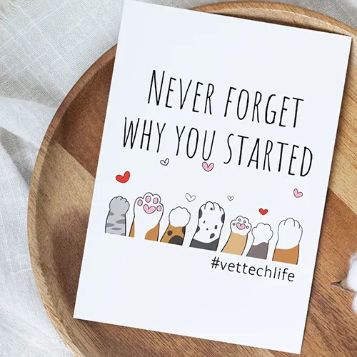 vet tech week gift ideas - Never Forget Why You Started Thank You Card