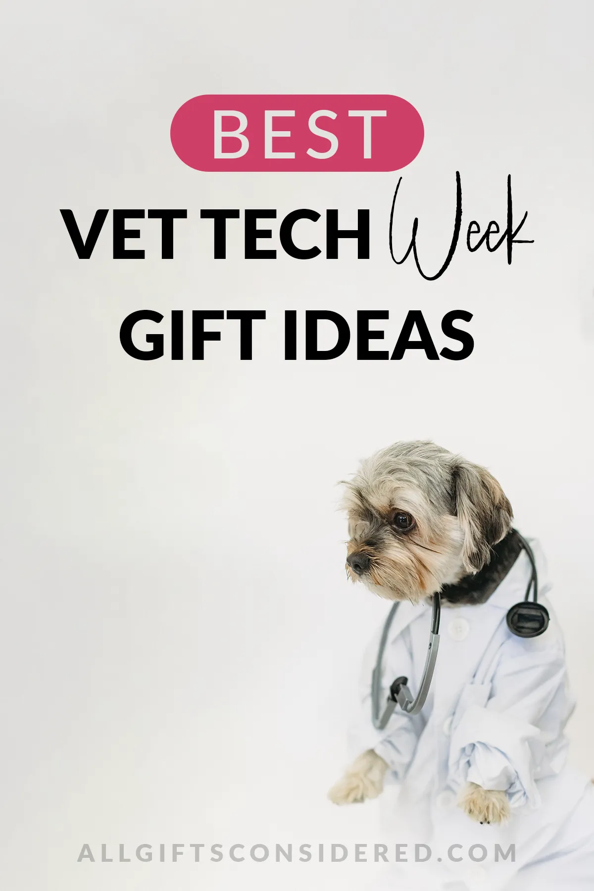 vet tech week gift ideas - feature image