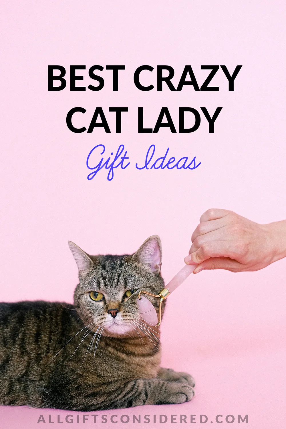 crazy cat lady gifts - feature image
