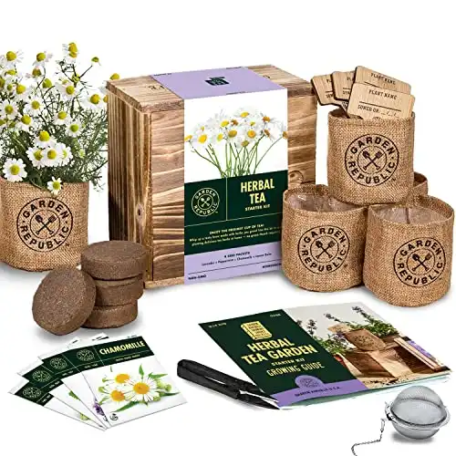 Indoor Herb Garden Seed Starter Kit - Herbal Tea Growing Kits, Grow Medicinal Herbs Indoors, Seeds for Planting, Soil, Plant Markers, Pots, Infuser, Planter Box, Gardening Gifts for Women