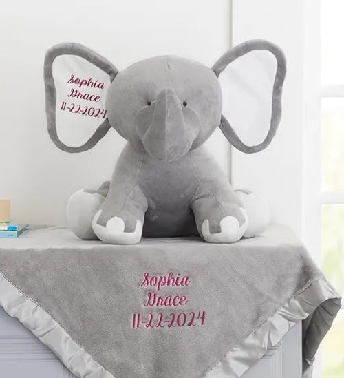 Personalized Baby Blanket & Stuffed Animal