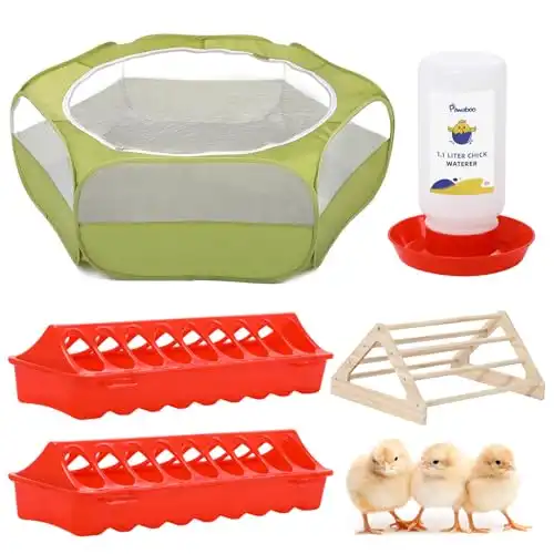 Raising Chickens Starter Kit