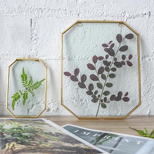 Dry Flower Frames