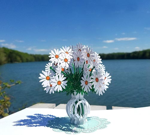 Daisy Pop Up Card