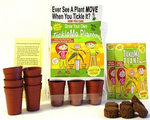 Gardening Gifts for 9 Year Olds