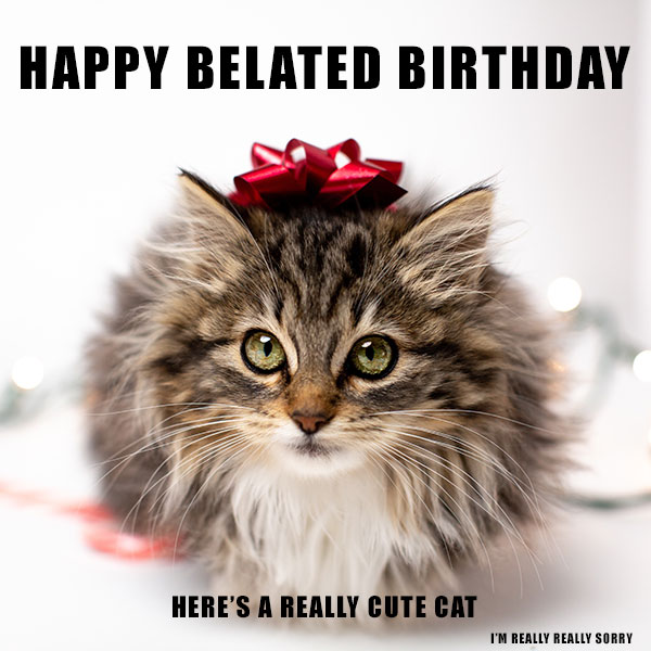 Cat Birthday Memes Funny Happy Birthday Song Belated Birthday Card ...