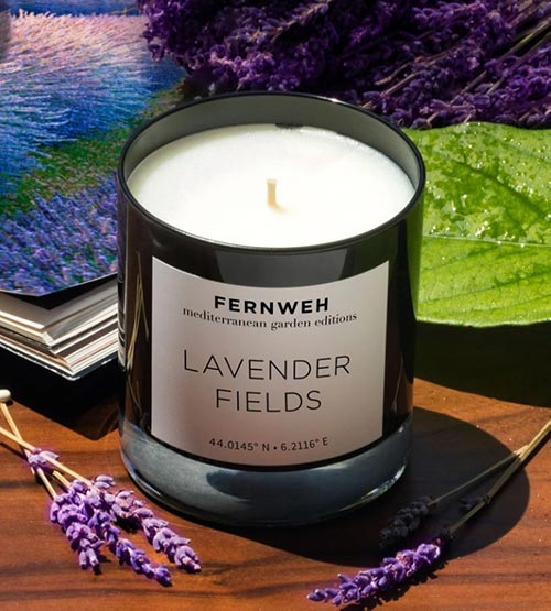 Exotic Candles- Lavender Fields