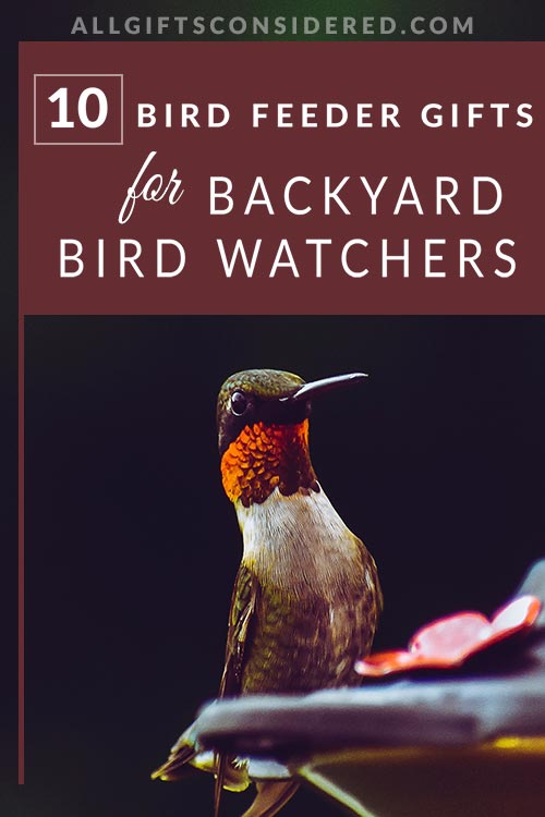 10 Amazing Gifts for Bird Watchers