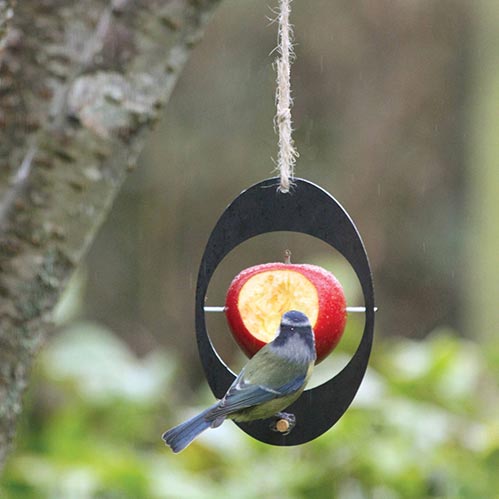 Recycle-friendly Bird Feeder