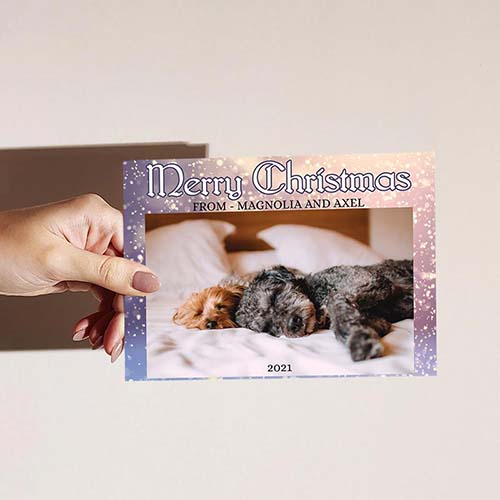 Merry Christmas Cards for Pets