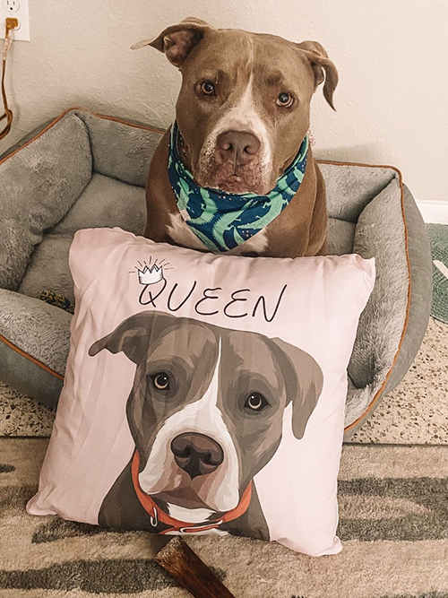 Custom Dog Photo Pillow