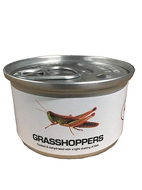 Edible Grasshoppers