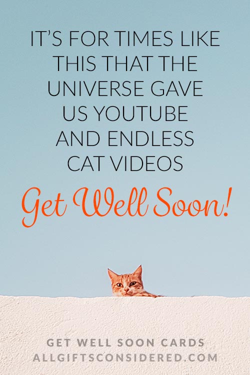 Funny Get Well Soon Cards: Endless Cat Videos