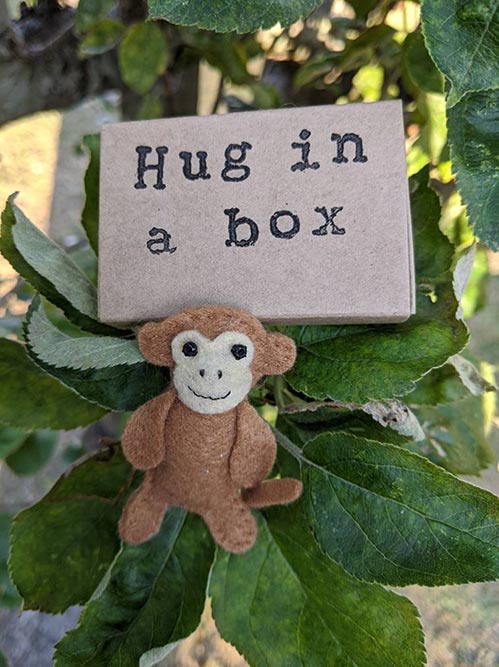 Hug in a Box Toy