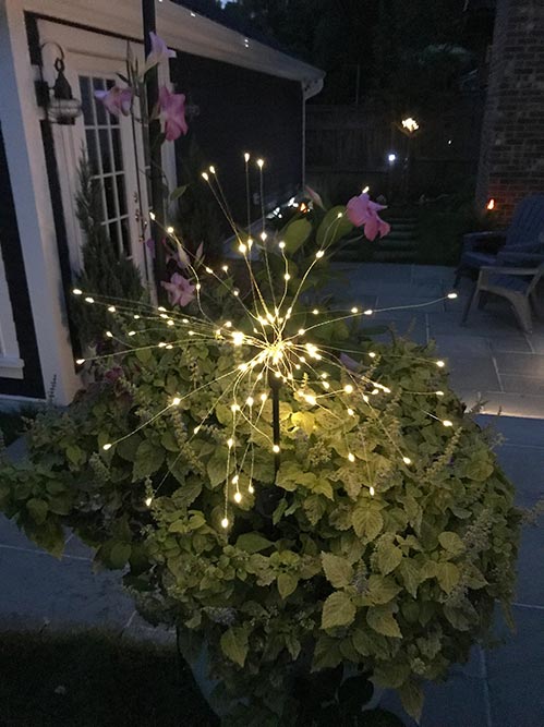 LED Fairy Garden Lights