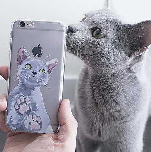 Cat Illustrated Phone Case: gifts for cat lovers