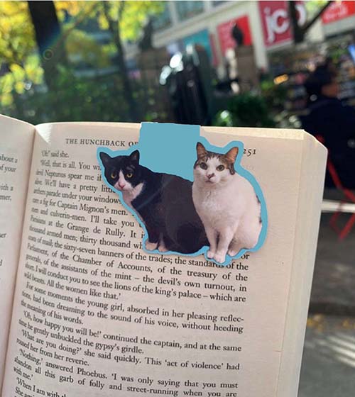 Custom Cat Photo Bookmark: gifts for cat lovers