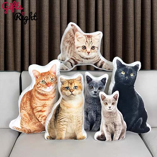Customizable Cat Photo Pillow: gifts for cat lovers