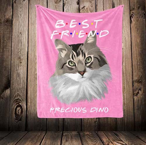Custom Fur Blanket: gifts for cat lovers