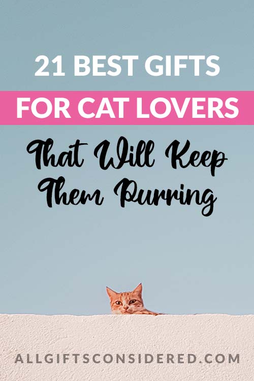 Cat Lover Gift Guide