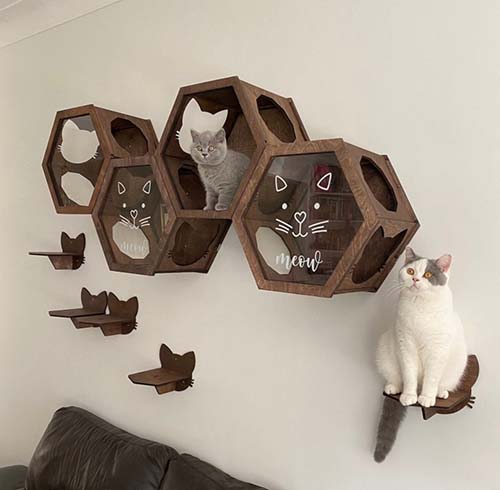 Personalized Mounted Cat Bed