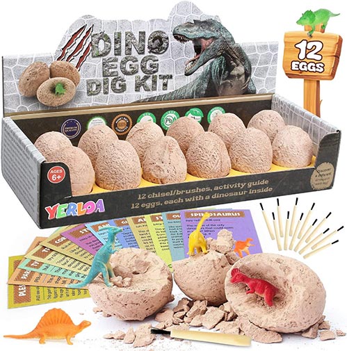 Dinosaur and Science Toys