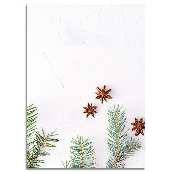 Back Side - 5X7 Happy Holidays Green Leaves & Stars Christmas Greeting Card