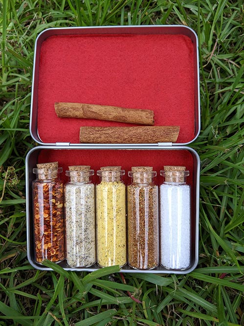 Pocket Spice Kit