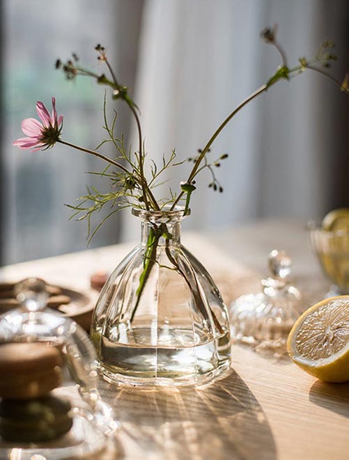 Simple and Elegant Glass Vases