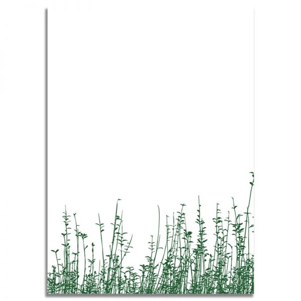 Back Side - 5X7 Happy Birthday Greeting Card Green Grass Scenery