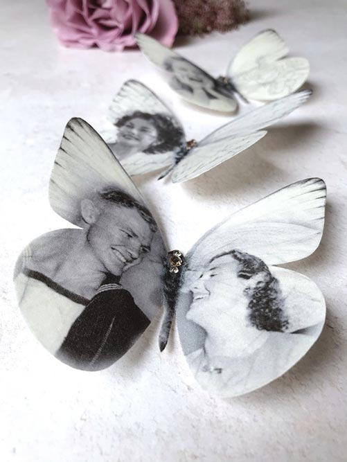 Silk Butterfly Portraits