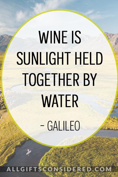 Galileo Wine Quotes